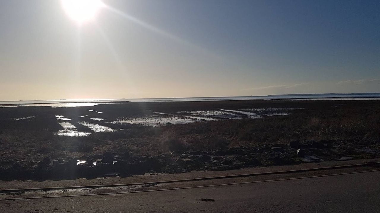 AreaSummer5KM AreaSummer5KM